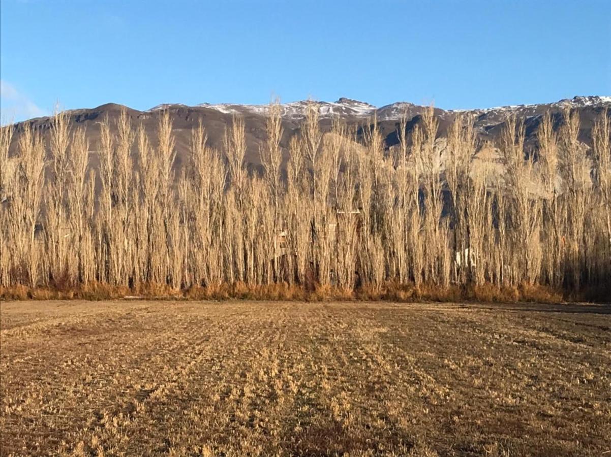 Rio Tarde Casa Patagonica Otel Lago Posadas Dış mekan fotoğraf