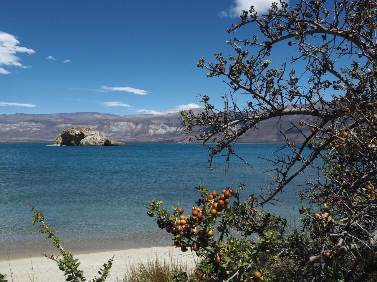 Rio Tarde Casa Patagonica Otel Lago Posadas Dış mekan fotoğraf